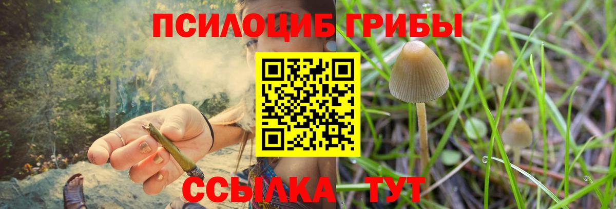 Майский  Галлюциногенные грибы GOLDEN TEACHER  Вход с VPN 