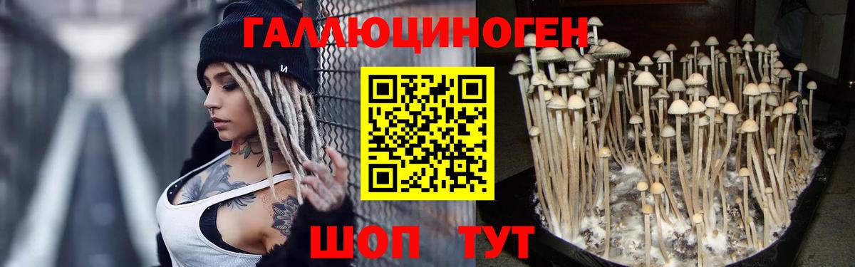 Галлюциногенные грибы мицелий Майский