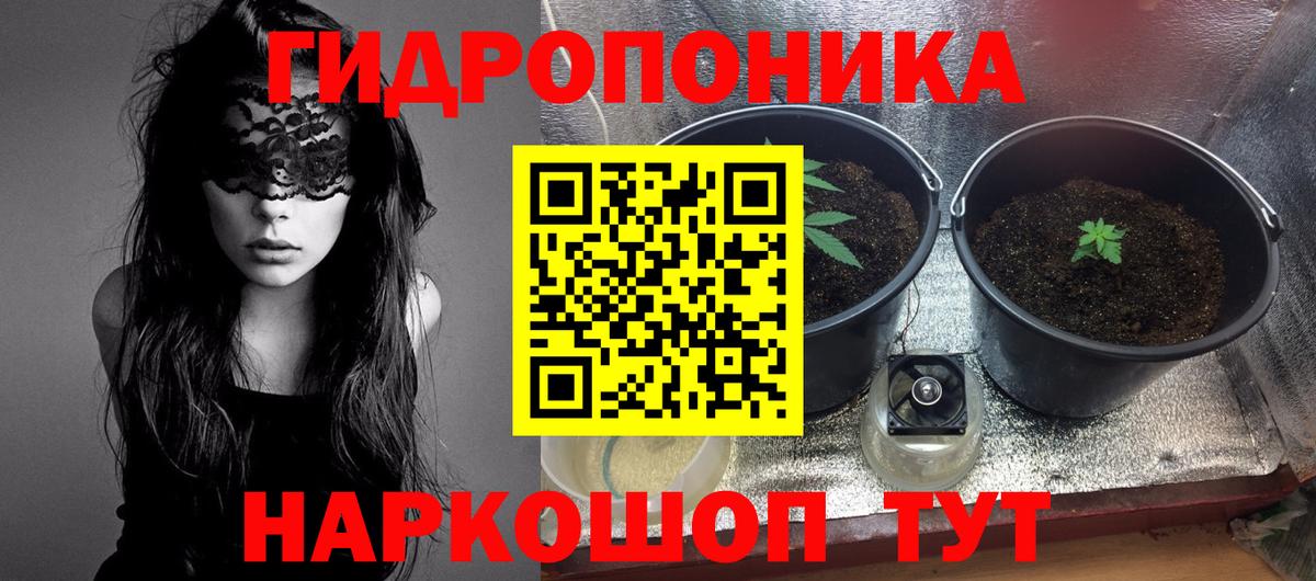 Канабис MAZAR Майский